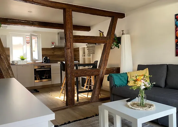 Duplex Douillet Renove - Terrasse - Wifi - Parking - Dans Maison Alsacienne -