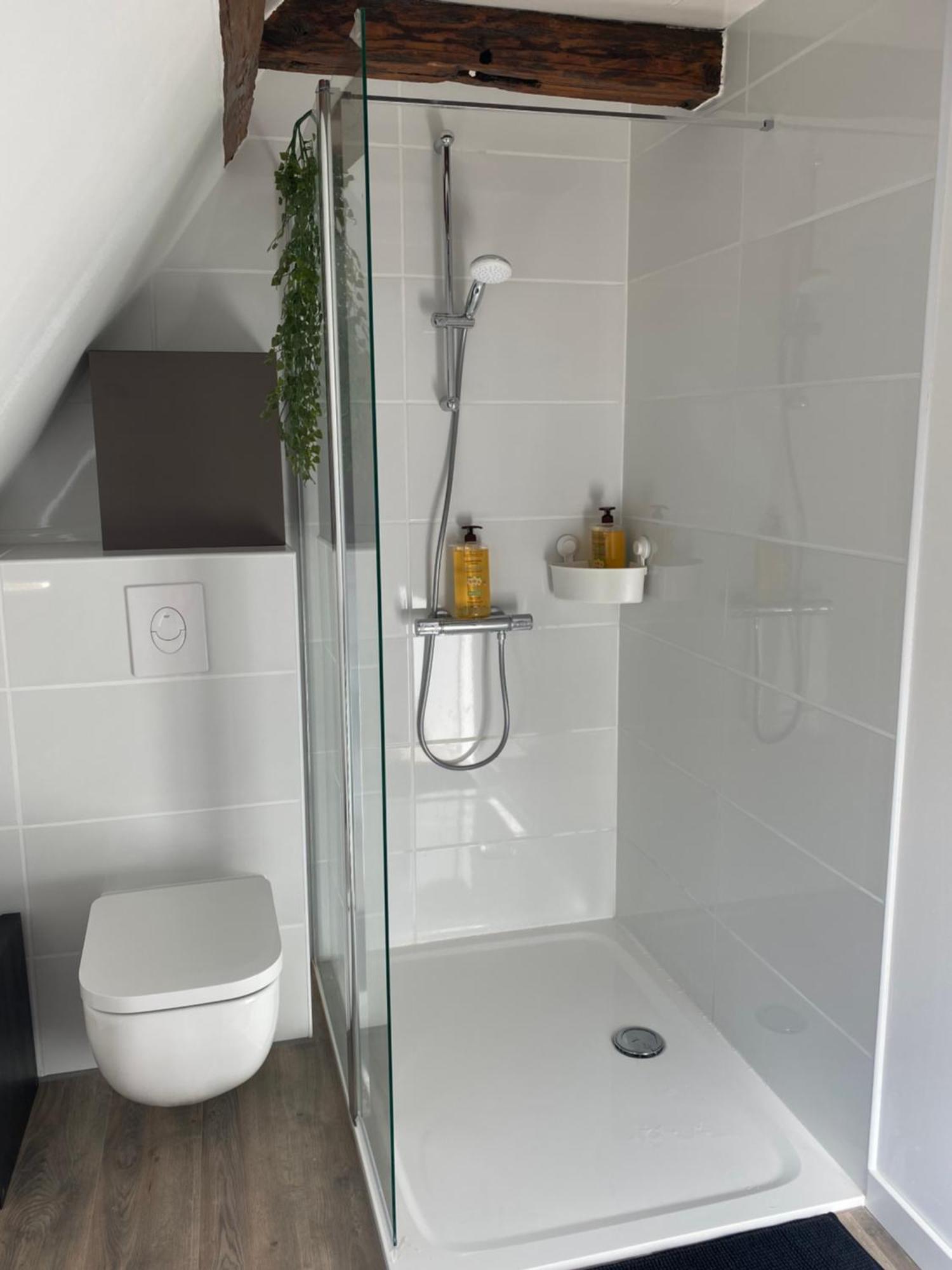 Duplex Douillet Renove - Terrasse - Wifi - Parking - Dans Maison Alsacienne -